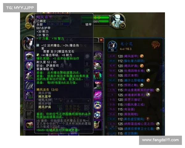 魔兽世界元素太初之力五大关键要素深度解析与探索 魔兽世界元素太初之力五大关键要素深度解析与探索