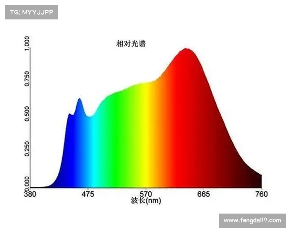 探索虹色世界的奥秘揭示自然光谱与人类感知的奇妙关系 探索虹色世界的奥秘揭示自然光谱与人类感知的奇妙关系